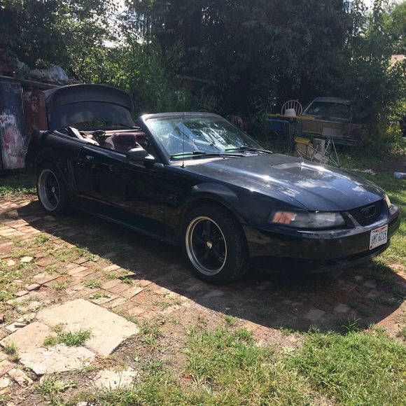 Meet your Posher, Emily - Picture 1 of 1